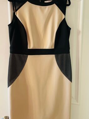 Studio One New York Cream and Black Colorblock Sheath Dress